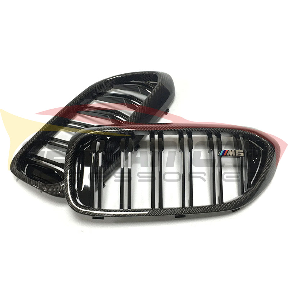 2017-2020 Bmw 5-Series Kidney Grilles | G30 Carbon Fiber